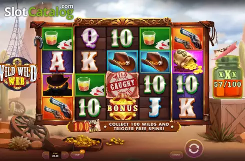 Скрин8. Wild Wild Web слот
