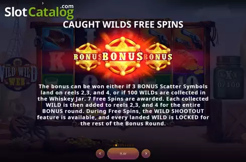 Скрин9. Wild Wild Web слот