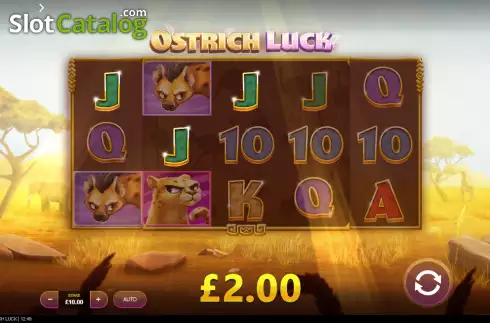 Скрин3. Ostrich Luck слот