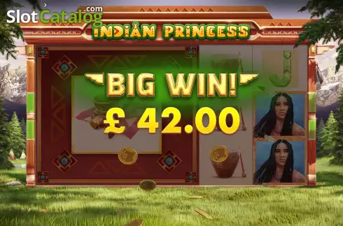 Скрин6. Indian Princess слот
