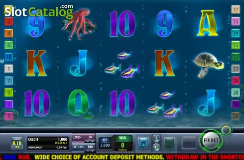 Скрин2. Dolphins Shell слот