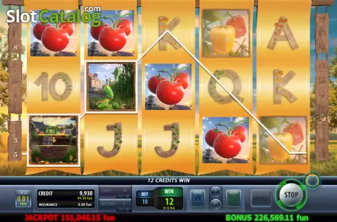 Скрин3. Golden Harvest (Champion Studio) слот