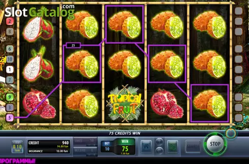 Скрин3. Tropical Fruit (Champion Studio) слот