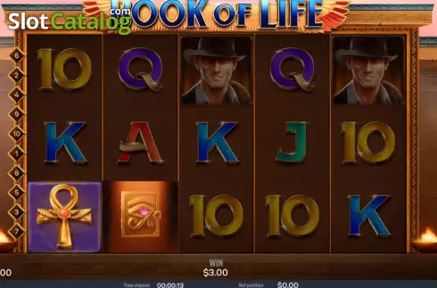Скрин4. Book Of Life слот