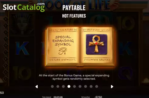 Скрин8. Book Of Life слот