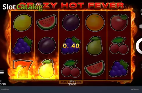 Скрин4. Crazy Hot Fever слот