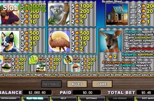 Скрин3. Kanga Cash (Cryptologic) слот