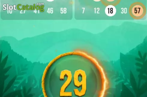 Скрин2. Tiger Bingo слот