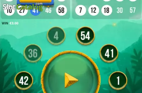 Скрин3. Tiger Bingo слот