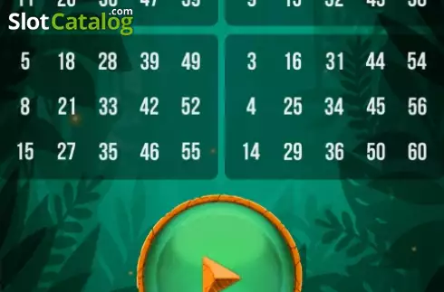 Скрин2. Tiger Bingo Express слот