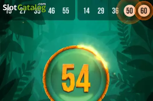 Скрин3. Tiger Bingo Express слот