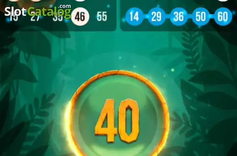Скрин4. Tiger Bingo Express слот