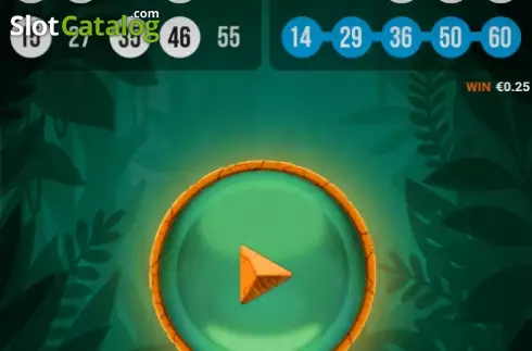 Скрин5. Tiger Bingo Express слот