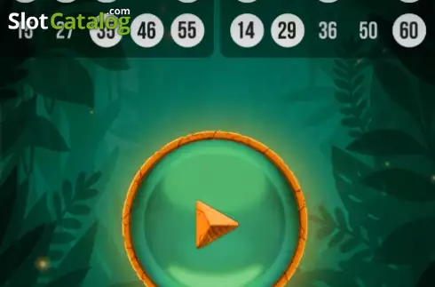 Скрин6. Tiger Bingo Express слот