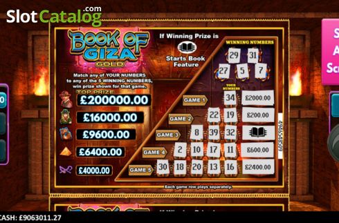 Скрин6. Book of Giza Gold слот