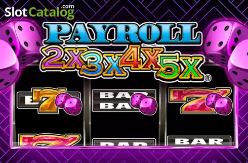 Payroll 2x3x4x5x слот