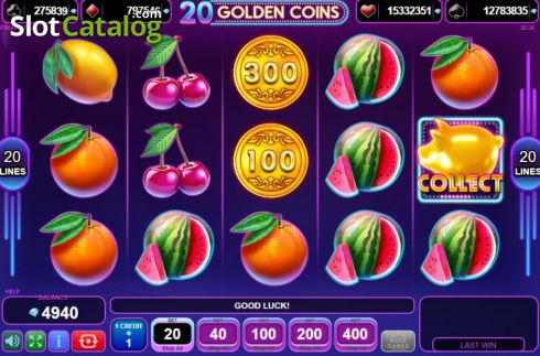 Скрин2. 20 Golden Coins слот