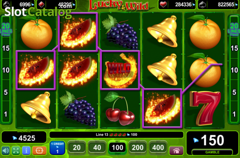 Скрин8. Lucky & Wild слот