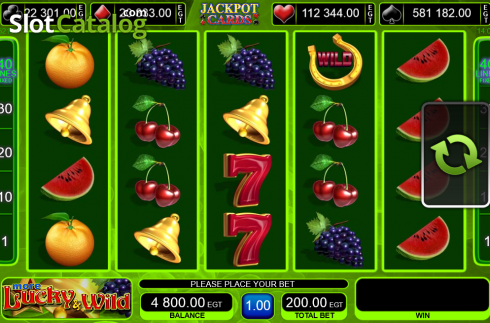 Скрин6. More Lucky & Wild слот