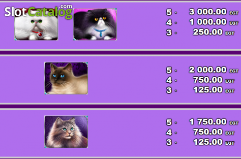 Скрин3. 100 Cats слот