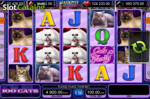Скрин8. 100 Cats слот
