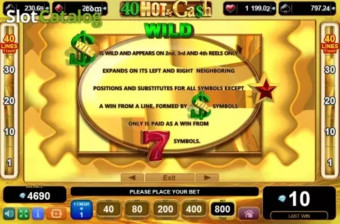 Скрин8. 40 Hot and Cash слот