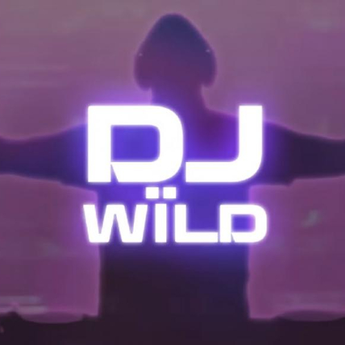 DJ WÏLD логотип