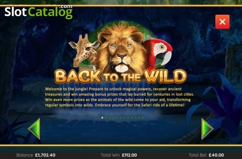 Скрин7. Back To The Wild слот
