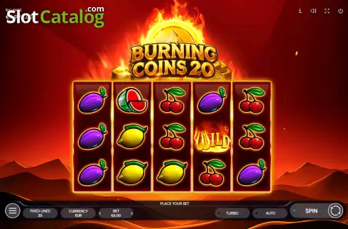 Скрин2. Burning Coins 20 слот