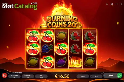 Скрин3. Burning Coins 20 слот