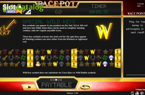 Скрин6. Fortune Race Deluxe слот