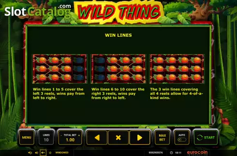 Скрин8. Wild Thing слот