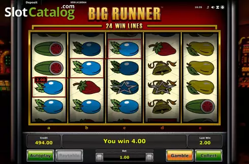Скрин5. Big Runner слот