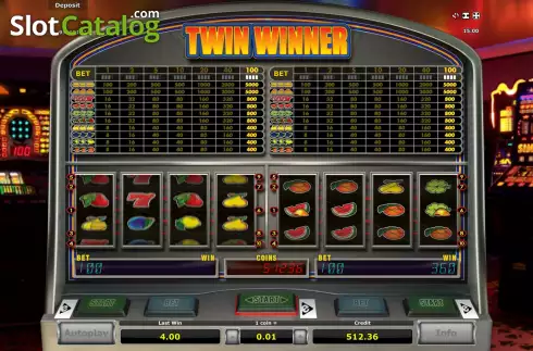 Скрин5. Twin Winner слот