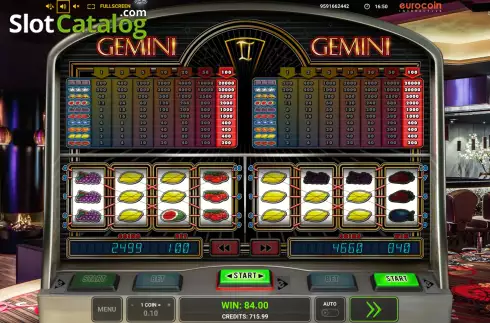 Скрин5. Gemini Twin слот