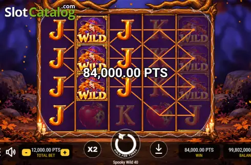 Скрин3. Spooky Wild 40 слот