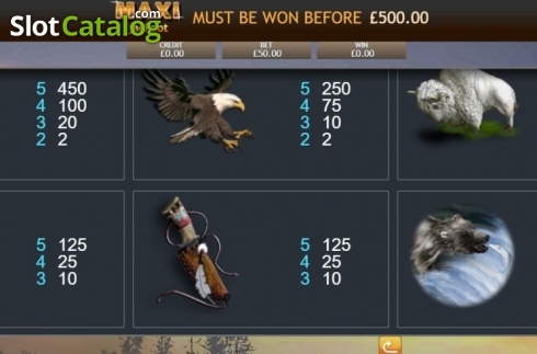 Скрин7. Shamans Dream Jackpot слот