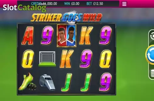 Скрин2. Striker Goes Wild слот