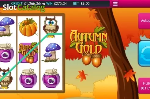 Скрин3. Autumn Gold слот