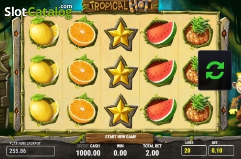 Скрин2. Tropical Hot слот