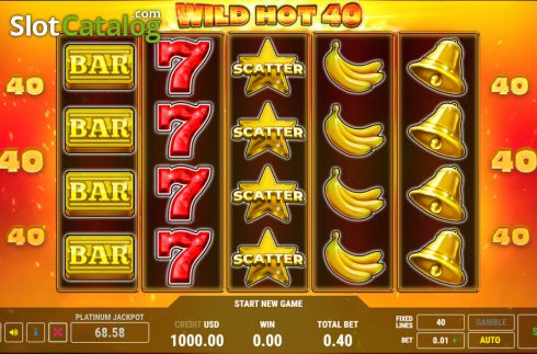 Скрин2. Wild Hot 40 слот