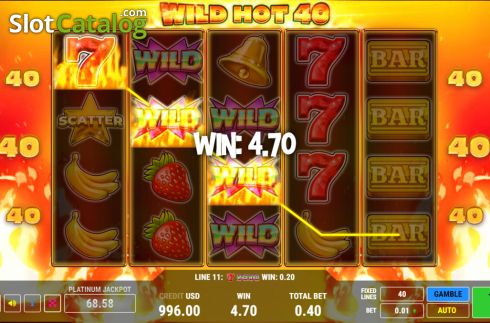 Скрин4. Wild Hot 40 слот