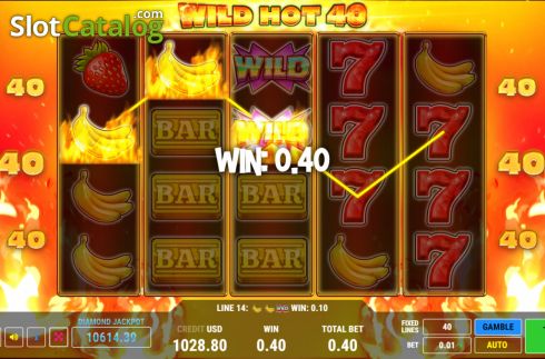 Скрин5. Wild Hot 40 слот