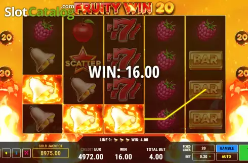 Скрин4. Fruity Win 20 слот
