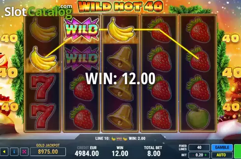 Скрин3. Wild Hot 40 Christmas слот