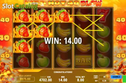 Скрин3. Wild Hot 40 Blow слот