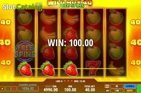 Скрин4. Wild Hot 40 Free Spins слот