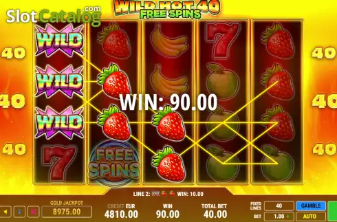 Скрин3. Wild Hot 40 Free Spins слот