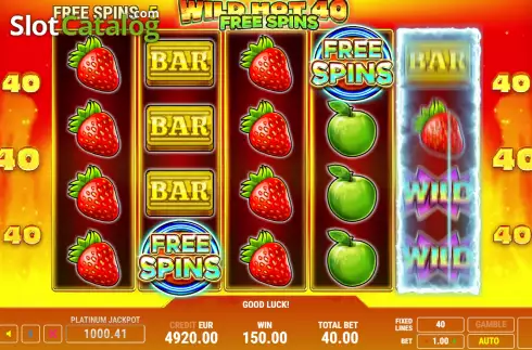 Скрин7. Wild Hot 40 Free Spins слот