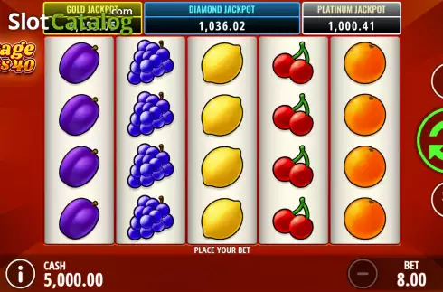 Скрин2. Vintage Fruits 40 слот